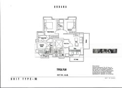 urbana photo thumbnail #5
